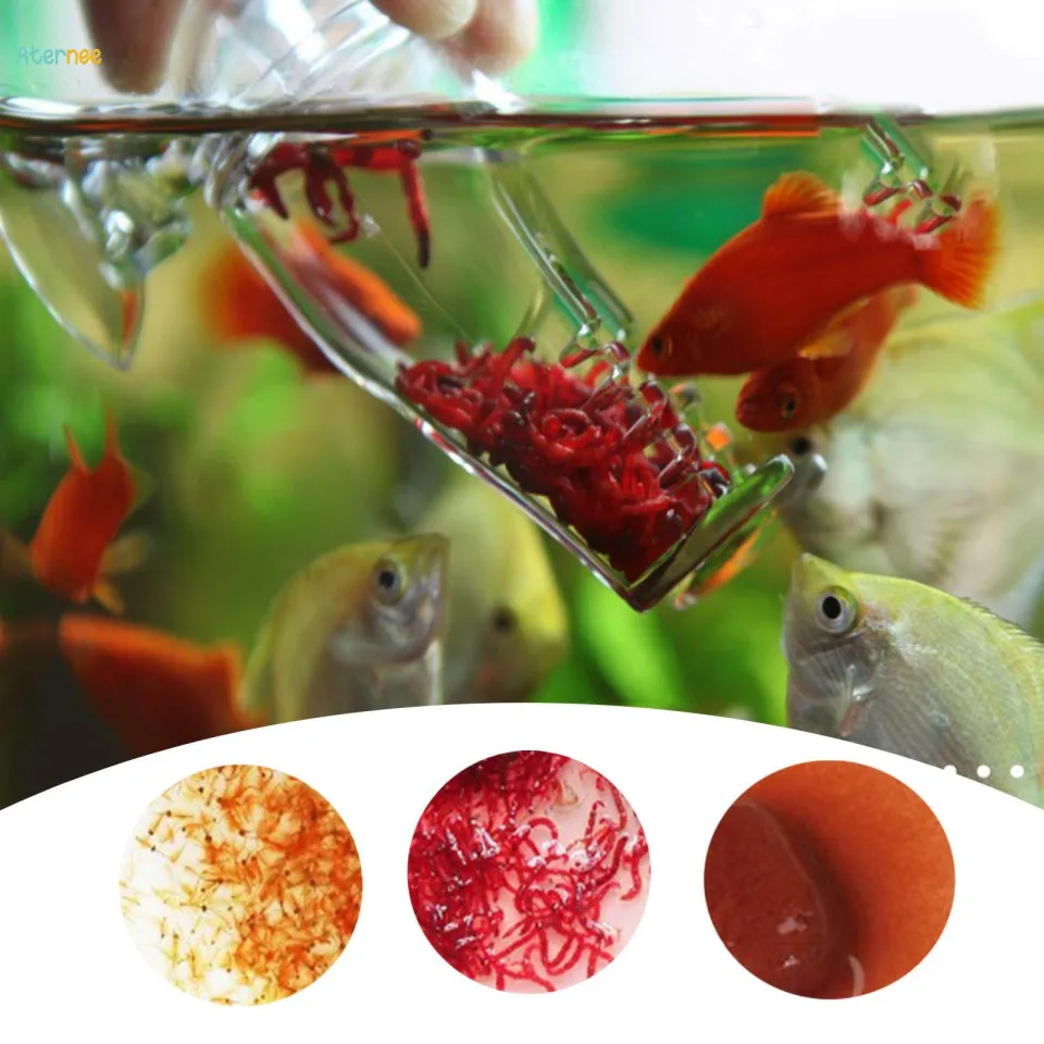 Aquarium feeder hotsell