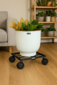 Rozy Heavy Duty Plant Pot Stand with Wheels – Durable Indoor & Outdoor Rolling Planter Caddy Trolley, Rustproof Metal Flower Pot Holder with 360° Rotating Wheels for Easy Mobility, Strong Load-Bearing for Home Garden Balcony Use. 