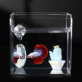 Acrylic Aquarium Betta Mirror Fish Tank Floating Round Mirror For Fish Betta Flowerhorn Cichlid Training 4cm/5cm/6cm/7cm/8cm/9cm. 