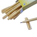 TEMPO Urdu Marker Calligraphy Marker – Pack of 10 Marker. 