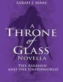 The Assassin and the Underworld Book by Sarah J Maas. 