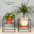 Metal Cube Plant Stands, Wire Plant Pot Stand, Metal Plant Holder, Flower Pot Stand, Steel Wall Hanger, Minimalist Plant Stand, 8x8 Inches, Made By With Metal Wire. 