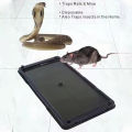Non-toxic Mouse Trap Effective Mouse Glue Traps for Home Commercial Use Long-lasting Sticky Rat Boards with Pre-scented Adhesive Snake Cockroach Spider Traps Included 2pcs Set. 