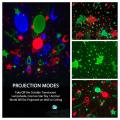 Moredig Night Light Projector, Night Light for Kids  8 Color Changing 12 Songs Toddler Night Light Christmas Gifts for Baby - with Remote and Timer, 360 Degree Rotating -Black. 