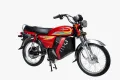 Electric bike PE-70 L. 