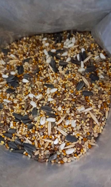 Premium%20Seed%20Mix%20For%20Small%20Parrots%20(Birdie)%20(Parrot%20Food)%20(Bird%20food)%20(feed)%20(1kg)%20-%20Image%203