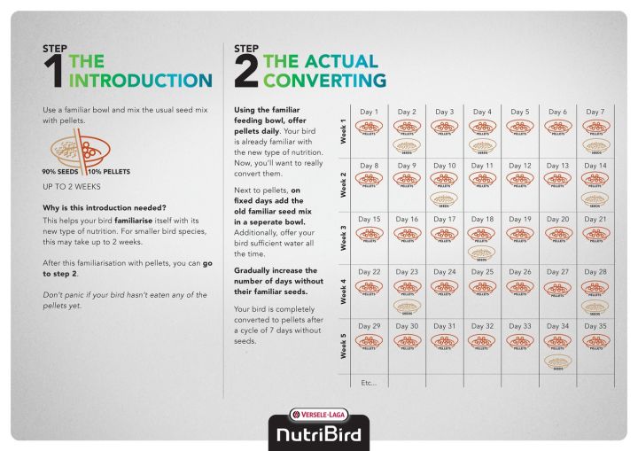 NutriBird%20B-18%20Breeding%20Food%20for%20Budgies%20&%20Small%20Parakeets%20-%20Breeding%20food%20for%20budgies%20and%20other%20small%20Parakeets%20%20(VerseleLaga%20Belgium)%20-%20Image%207