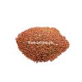 Cress Seeds 250g Halim Seeds Premium Quality. 