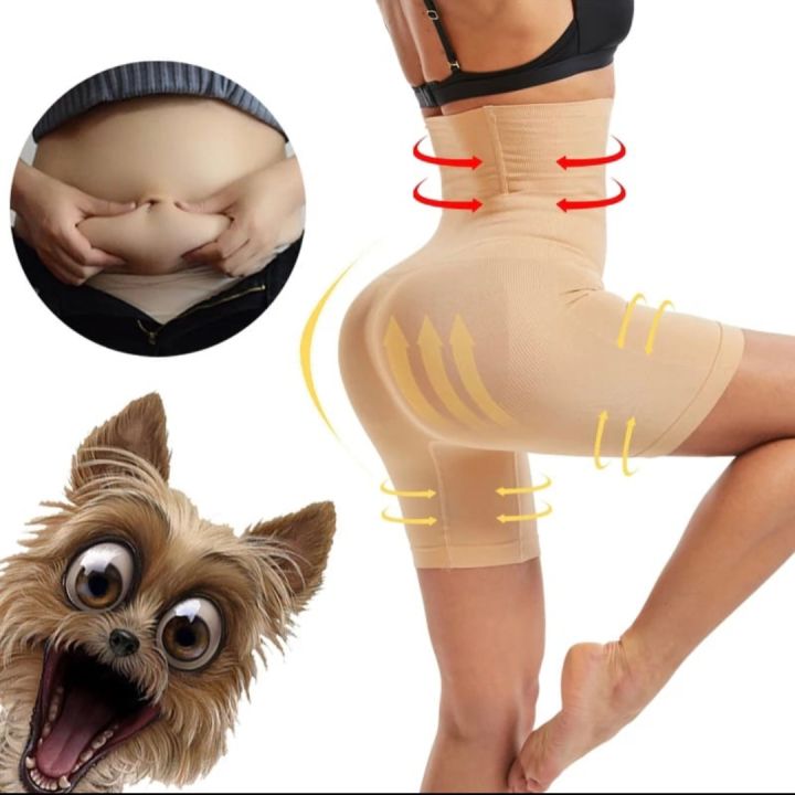 High%20Waist%20Body%20Shaper%20Stretchable%20Women's%20Tummy%20Tucker%20and%20High%20Waist%20Body%20Shaper%20Belt%20for%20Belly%20Hip%20and%20Thigh%20Control%20Hi-Waist%20Panties%20for%20Girls%20And%20Women%20-%20Image%204