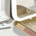 Mirror-equipped Makeup Bag with LED Light Mirror Lightweight Compact LED Lighted Mirror Cosmetic Case Fashionable Makeup Bag for Travel-Friendly Professional Makeup Artists Daily Use Gifting Storage. 