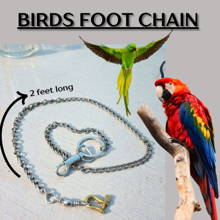 Bird Chain 2 Feet Long Parrot Leashes Foot Chain - Anti-bite Flying Training Solid ...