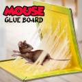 Pack of 10 - Mouse & Rat Glue Traps - Special Catch Mouse & Rat Bond Trap - Mouse Trap Book - Mouse Catcher Glue Book - Rat Glue Pad - Mouse and Rat Trap Glue Book with Extra Stickiness - PASBAN RAT BOOK. 