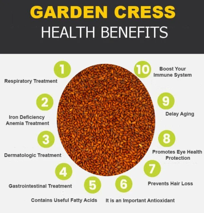 Organic%20Halim%20Seeds%20,%20Haloon%20,%20Aliv%20/%20%D8%AD%D8%A7%D9%84%D9%85%20Garden%20Cress%20Seeds%20200gm%20%E2%80%93%20Immunity%20Booster,%20Helps%20In%20Weight%20Loss,%20Regulates%20Menstrual%20Cycle,%20Boosts%20Iron%20-%20Image%209