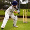 Hard Ball Cricket Spring Back Cricket Stumps – 28in Senior Stumps – Freestanding & Portable. 