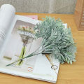 Plant No Watering False Cottonrose Hibiscus Leaf Green Plant. 