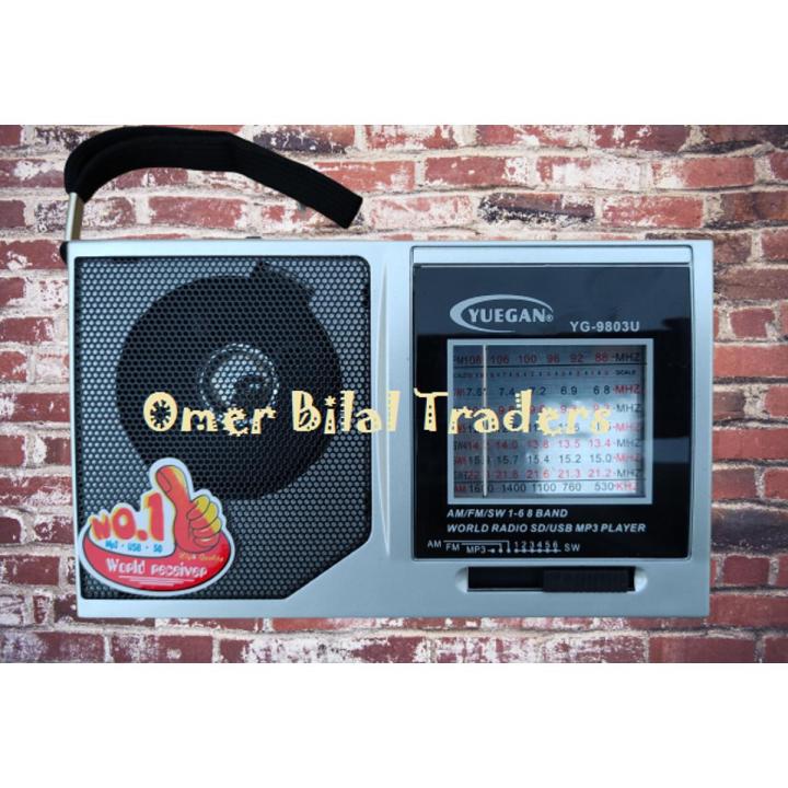 Portable 8 Bands (AM/FM/SW 1-6) Rechargeable Radio with USB/TF Music player
