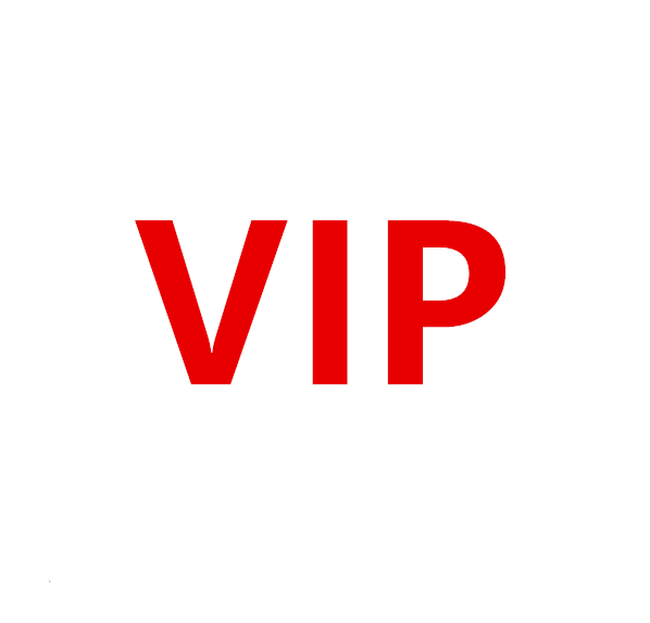 VIP bag new female bag high-end luxury brand belt bag lady messenger bag shoulder bag handbag