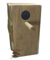 Indian Ringneck Parrots Breading Box Premium (Kikar Wood). 