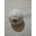 Practice Cricket Hard Ball (Synthetic) White. 