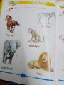 Kids Culture Beginner. 