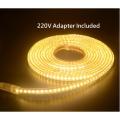 5 Metres - Fancy Ceiling Roof Room Decoration Glowing Rope Strip LED Wall Hidden Light 2835 with Adapter with All Colors. 