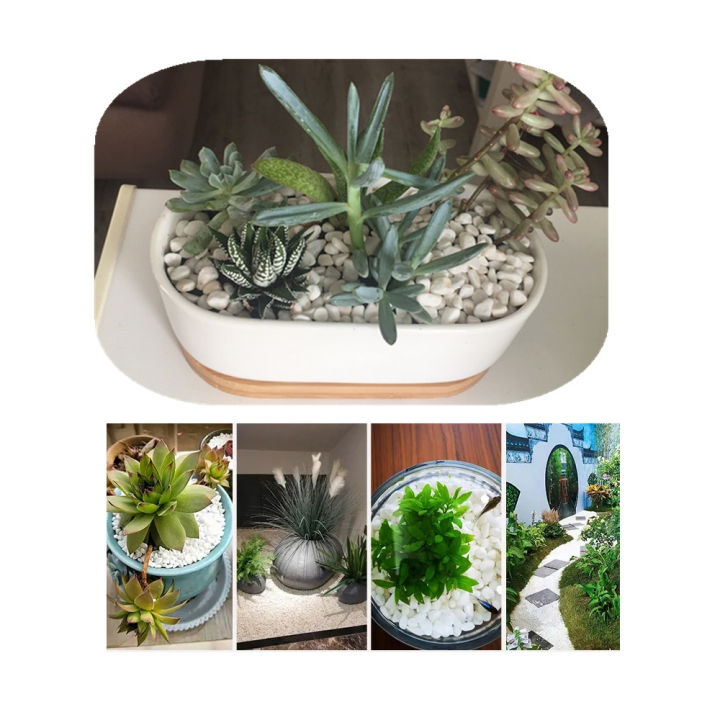 Natural%20Onyx%20Decorative%20Stone%20Marbles%20for%20Vase%20Plant%20Home%20Garden%20D%C3%A9cor%20-%20100GM%20-%20Image%203