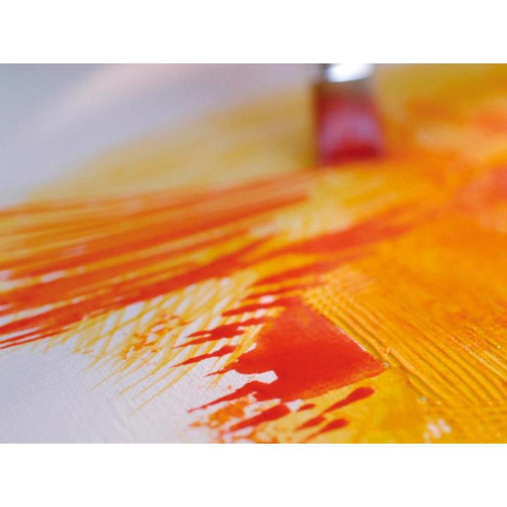 CANSON OIL&ACRYLIC PAPER CANVAS TEXTURE 290G 50X65CM