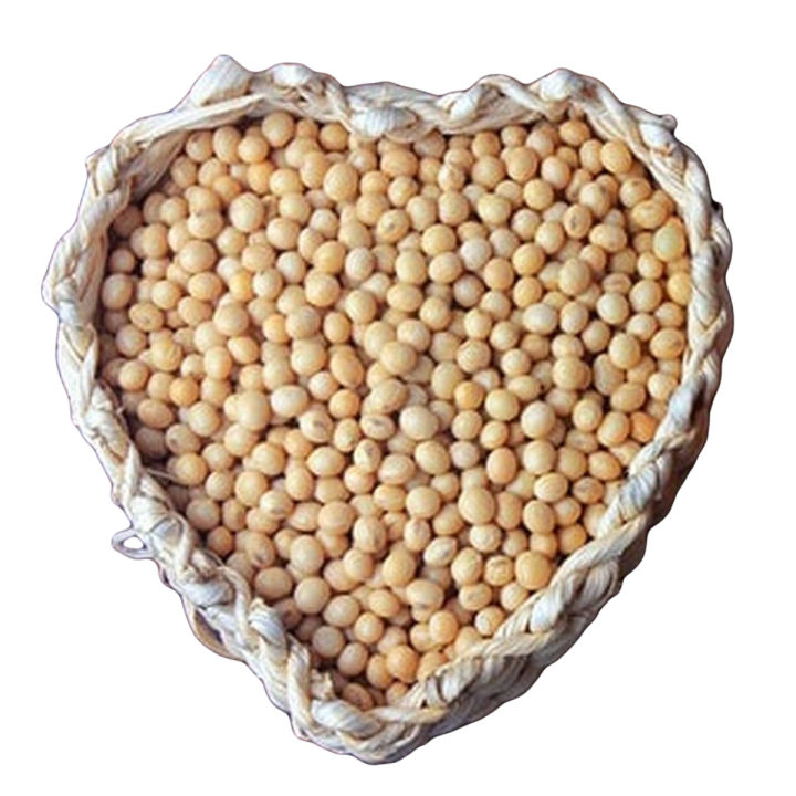 Soya bean (1000 gram) 1 Kg