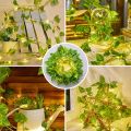 PACKIFY  Artificial Plant Leaves bail with LED Fairy Lights Battery Operated - Money Plant Leaf Lights for room decoration wall Hanging flowers. 