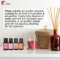 CERTO Home Water Soluble Fragrance Essential Oil 10ML for Diffuser Air Purifier Humidifier Aromatherapy DIY Candle Soap Fragrance Perfume Home Air Refresher Minyak Esensial Pati Aromaterapi Wangi Pewangi Rumah Bilik香薰精油. 