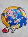 2 pc Sonic The Hedgehog Patches-Sew On Collection -Kids Teens Loved Classic Sonic, Knuckles, Tails Characters - Digital Printed, Leaping Sonic, Retro Gamer Costume Aplique, Cosplay Motif for Bag, Hat, TShirt Give Expensive look 2 cloths. 