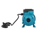 Water Transfer Pump,(15m 180W DC12V) Unipolar Impeller Motor Water Pump,Horizontal Single Suction Irrigation Tool,Mini Vortex Electric Water Pump,Water Supply in Farmland Irrigation,etc. 