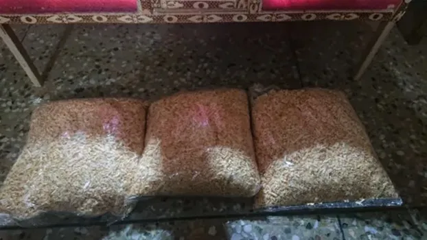 Wood%20Shavings%20(Natural%20Nesting%20Material)%20for%20Birds,%20Parrots%20&%20Small%20Pets%20%7C%20Pack%20of%204%20%7C%20Soft,%20Original%20Pet%20Bedding%20for%20Nests%20-%20Image%205