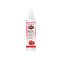 DURVESH ROSE WATER SPRAY 120 ml | ROSE WATER FOR FACE | ROSE WATER SPRAY TONER | ROSE WATER FOR ACNE SKIN TREATMENT | ROSE WATER SPRAY FOR FACE VITAMIN C. 