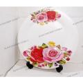 10 Inch Melamine Dinner Plates - 6 Pcs Rice Melamine Plates - Round Shape. 