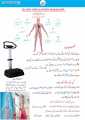 Health Green World Blood Circulatory Massager | HGW Imported Machine. 