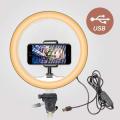 Makeup Ring Lights 10" Portable LED Selfie Lights (26cm) for Camera, Phone, TIK Tok, YouTube Video Shooting. Lightweight. For Video Making Selfie Ring Light Photography Dimmable Makeup 26cm Ring Light Video Live with Phone Holder USB Plug (NO STAND). 