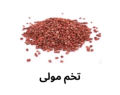 Radish Seeds (Tukhm-e-Mooli) 250 Grams. 