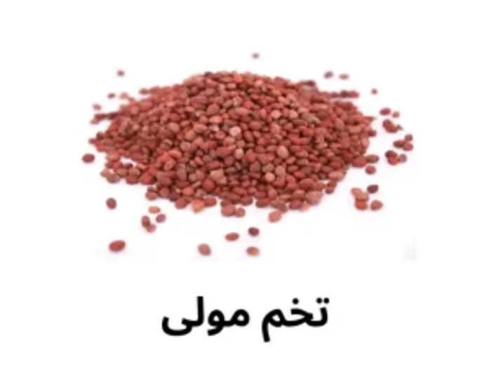 Radish Seeds (Tukhm-e-Mooli) 250 Grams
