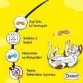 Dreamies Cat Treat Chese flavor Food Mega Jar 350gram. 