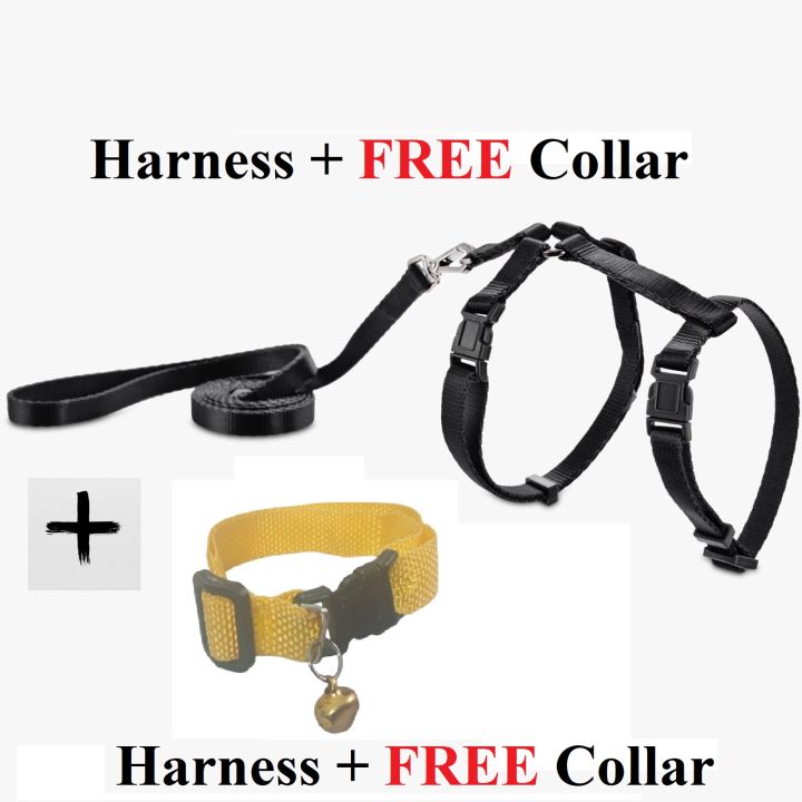 Cat Collar + Chain For Cats