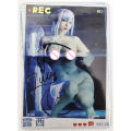 Cartas colecionáveis de anime para meninos, História da Deusa, Rare REC Refraction Foil, Alice, Erza, Kanroji, Mitsuri, Elysia, Presentes de aniversário, Brinquedos. 