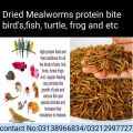 Dried meal worms BSF for birds,fish, turtle etc 50gm best quality. 