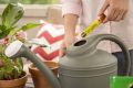 Miracle-Gro Watering Can Singles All Purpose Plant Food Sachet - Boost Plant Growth Quickly. 