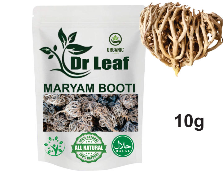 MARYAM BOOTI 10G