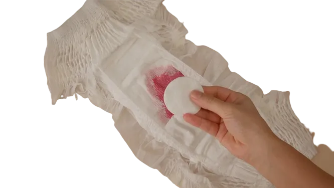 Pack%20of%203%20Disposable%20Period%20Panty,%20Women%20Period%20Underwear,%20Postpartum%20panty,%20Sanitary%20Napkin%20Pants,%20Menstrual%20Pull-up%20Pant%20-%20Image%207