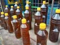 Mustard Oil | Sarso Ka Tail |1Liter(1000 ML) |100% Pure. 