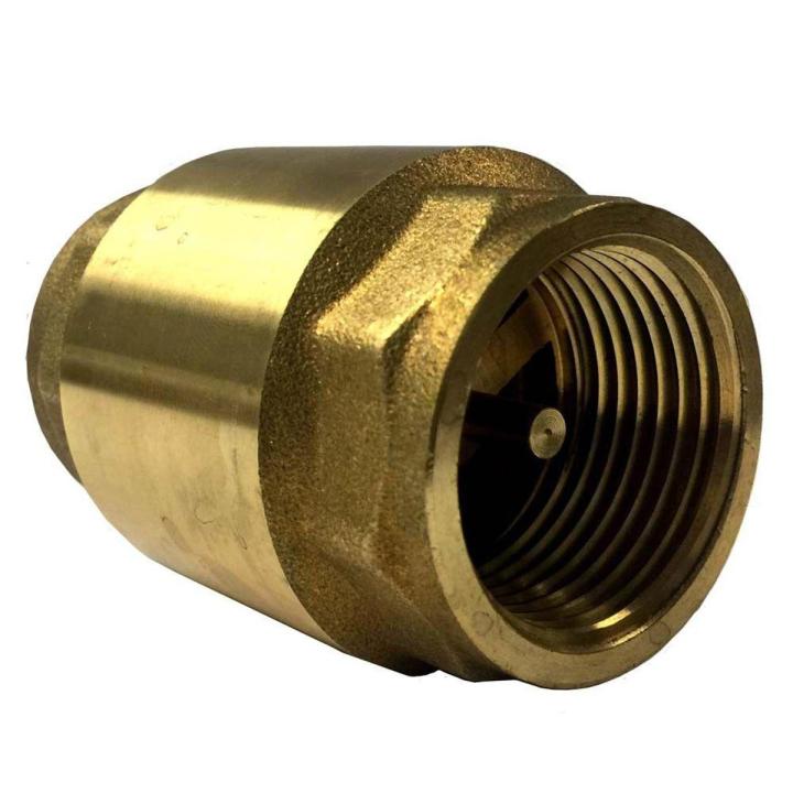 Brass Check Valve 2'' NRV (Made In China)