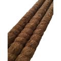 Plant Sticks (3ft) - Pack of 3 - Plant Support - Rod - Pole - Indoor Plant Support - Coir - Money plant support - Straightener. 