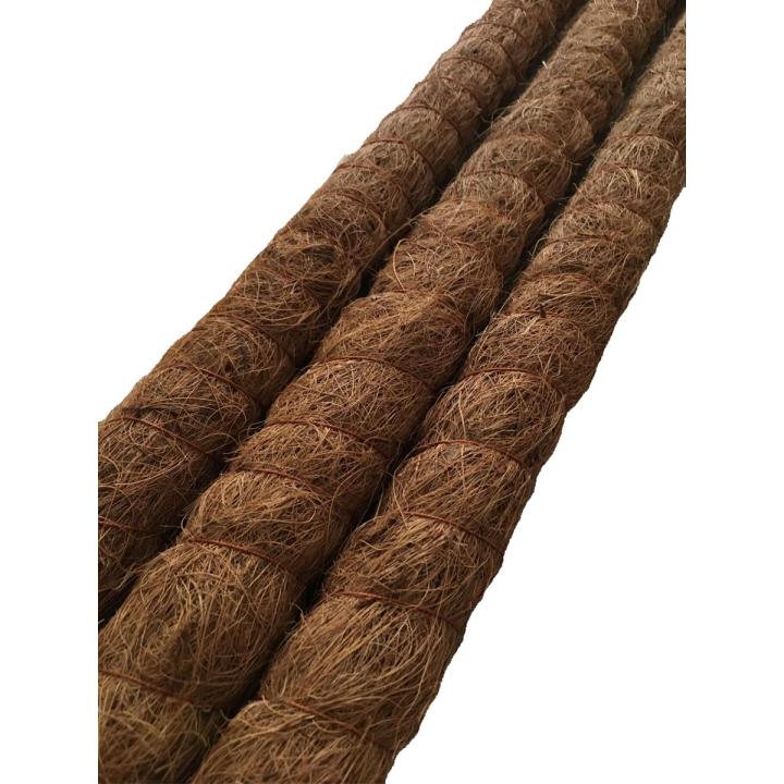 Plant Sticks (3ft) - Pack of 3 - Plant Support - Rod - Pole - Indoor Plant Support - Coir - Money plant support - Straightener